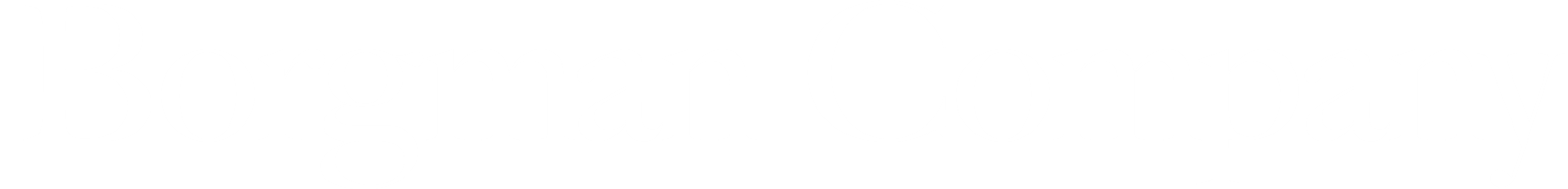 The Borgman Group